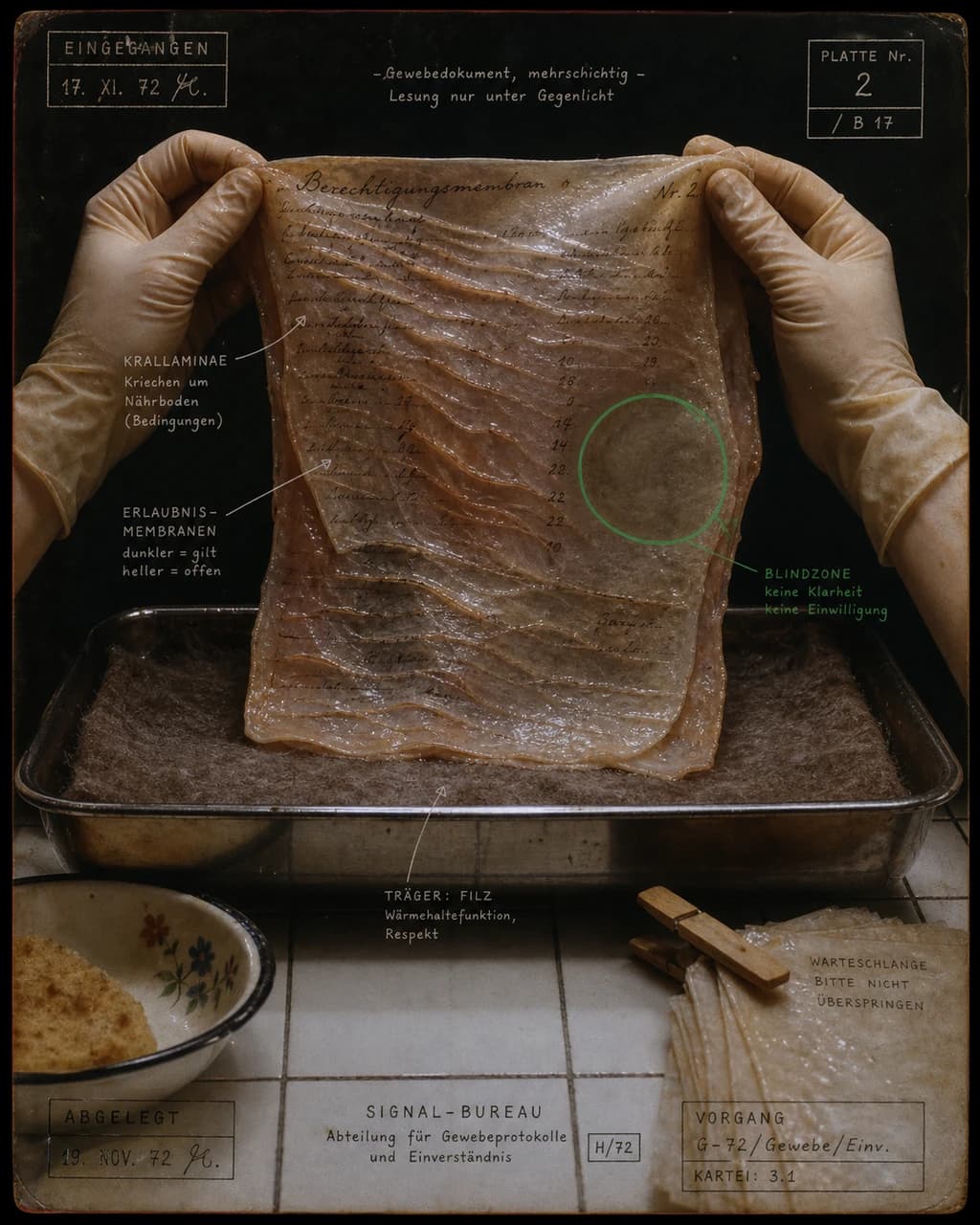 Navigable Substrate / Excised Section of a Machine-Readable Web Document Showing Crawl Laminae and Permission Tissue